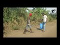 BUBU KASEMA NIATARI