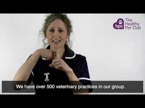 How to Sign Undetermined in BSL