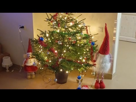 upe ūdeņus nes izpilda emilsbekasovs