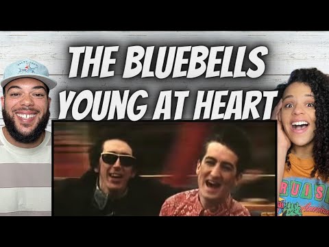 LOVE IT!| FIRST TIME HEARING The Bluebells  - Young At Heart REACTION