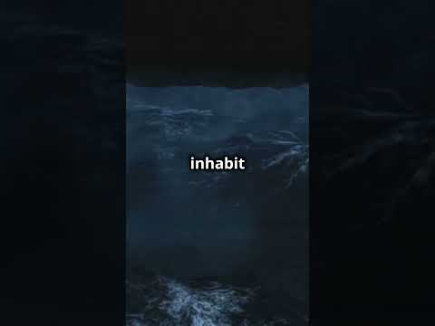 The Legend of the Caleuche: Chile's Mythical Ghost Ship #MaritimeLegend #Chile #Folklore