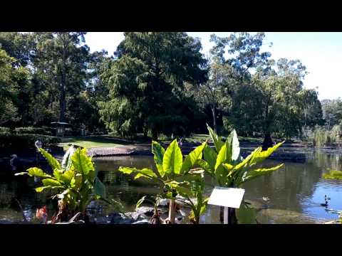 STRUGGLE STREET WITH UNEMPLOYMENT - Would you waste your time?