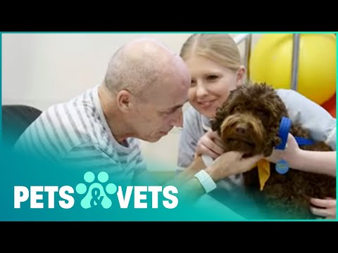 Therapy Doodle Helps Sick Patients | The Dog Rescuers | Pets & Vets
