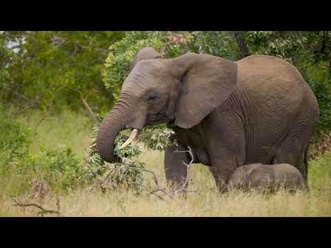 Let's Change The World Together