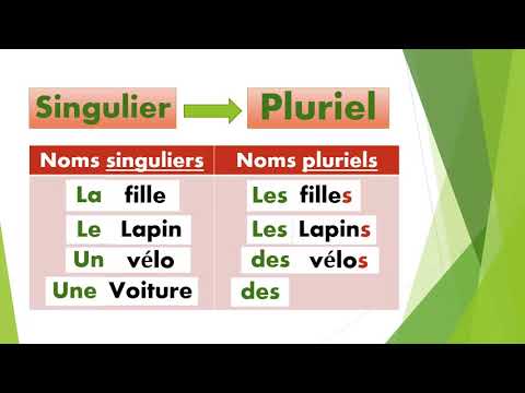 Le singulier et le pluriel des noms