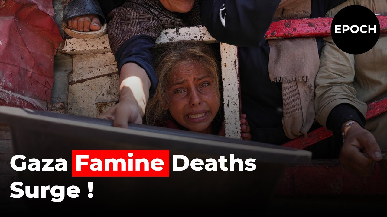 Gaza Crisis Worsens: Ceasefire Proposal Rejected Amid Famine and UK Aid Efforts
