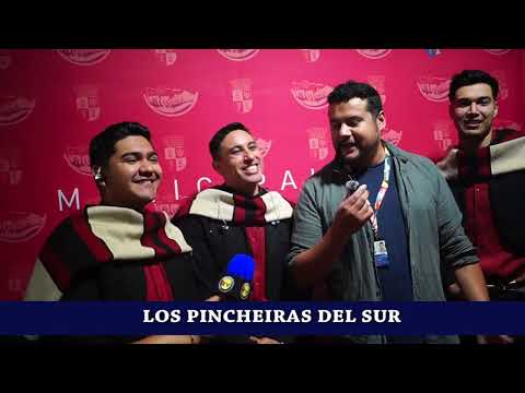 FESTIVAL COIGUE - NEGRETE   BIOBIO