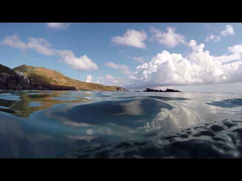 image-Can you snorkel at Coronado Island?