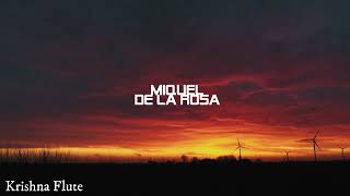 Khishna Flute - Miquel de la Rosa (01 HORA)  Músi