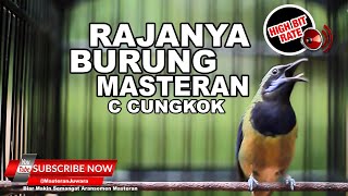 Download lagu 🔴Raja Burung Masteran❗️Cucak Cungkok Gacor Isian Buka Paruh Kasar dan Tajam mp3