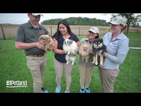 Kennel Tour 139