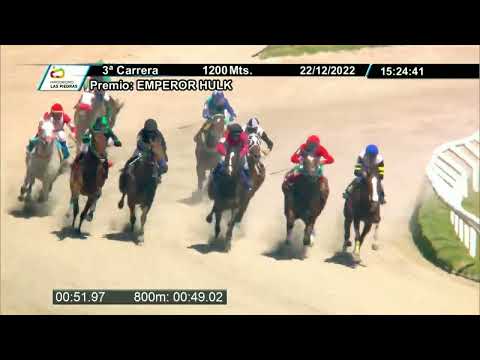 221222 c03 - MASCHIO BELLO - HIPODROMO LAS PIEDRAS