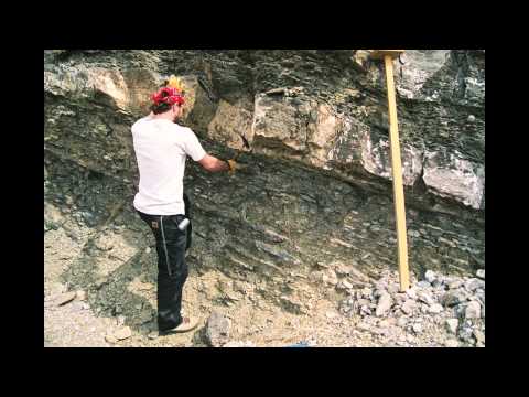 Science at FMNH -- Trilobite Evolution