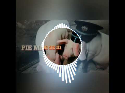 MARSO X BOBKATA X TSVETINA-PIE MI SE III[BASS BOOSTED]