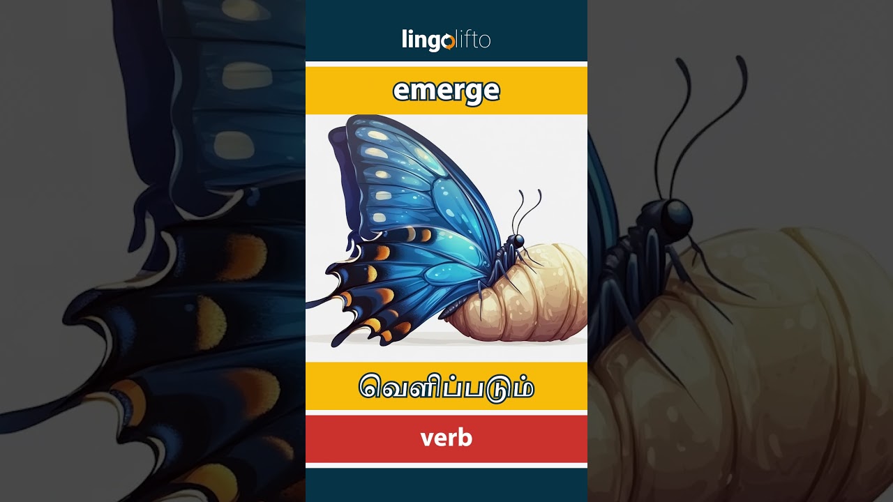 Emerge Photo Example Emerge - வெளிப்படும் Meaning, Video Lesson & Examples | ESL Practice