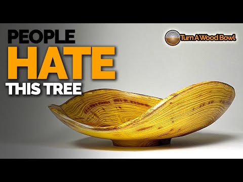 Firewood to Bowl - Mulberry Crotch Video