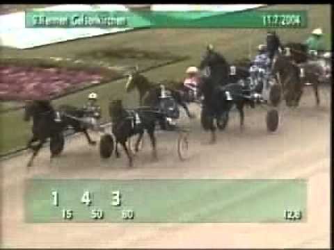 Elite Rennen 2004 -Revenue