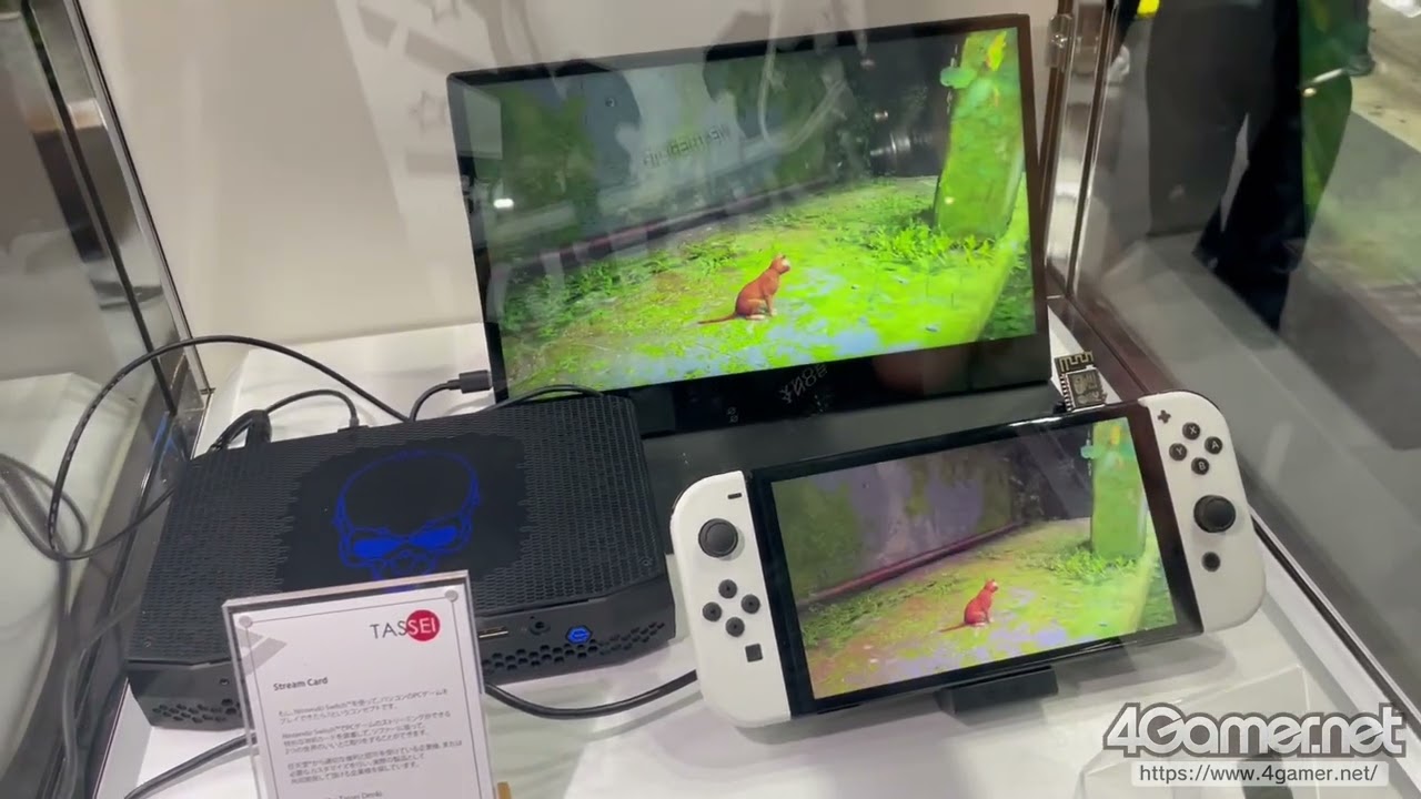 This card could users games to the Nintendo Switch |