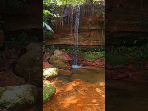 Cachoeira de Governador Newton bello Maranhão #governadornewtonbello #cachoeira