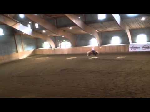 Summer Reining Show 2013