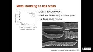 The challenge of predicting metal transfer through the soil-plant-animal continuum