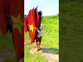 Vietnamese Kites Sound Bow