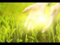 Daniel Kobialka - The Future Is Beautiful