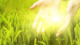 Daniel Kobialka - The Future Is Beautiful