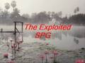 The Exploited - SPG (audio) 