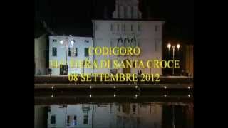 preview picture of video 'Codigoro Fiaccolata 2011'