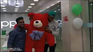 Teddy bear collection l Best Big teddy bear for gift l Price in bd