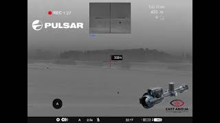 Muntjac through the Pulsar Thermion 2 XL60