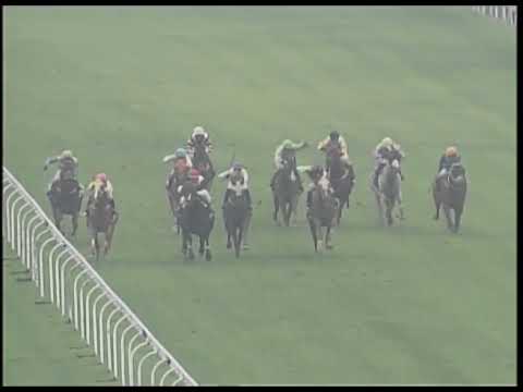 2019-02-23 Race 6(0168) - THE KOWLOON TONG