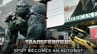 Transformers: Rise of the Beasts (2023) Video