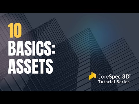 Basics: Assets