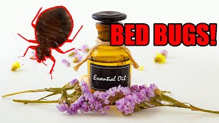 Bed Bugs - Ants - Cockroaches & Essential Oils - Why They DON