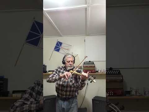 Violin, 4/4, pochette style with frets image 8