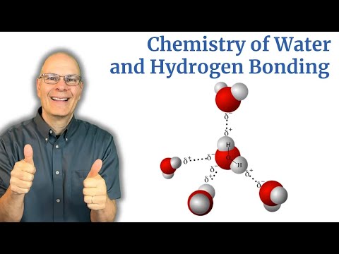 Water's Secret Stickiness: Polarity, Hydrogen Bonds, and Molecular Cohesion Explained!