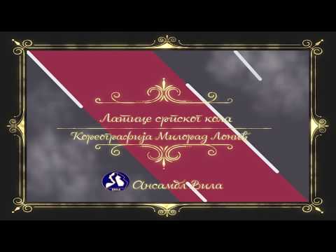 VEČE UMETNOSTI IGRE - "Latice srpskog kola" -  Ansambl "Vila" Novi Sad