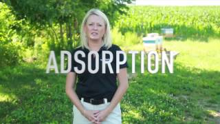 Pesticides and the Environment