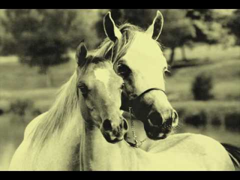 Ostatni Taniec - Nieznany Wykonawca