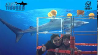 DIA 2 Expo Tiburon23