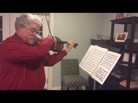 JC Bach/Casadesus: Viola Concerto in C Minor, Movement 1