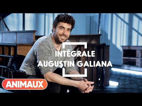 Agustin Galiana est dans Animaux Stars - Animaux