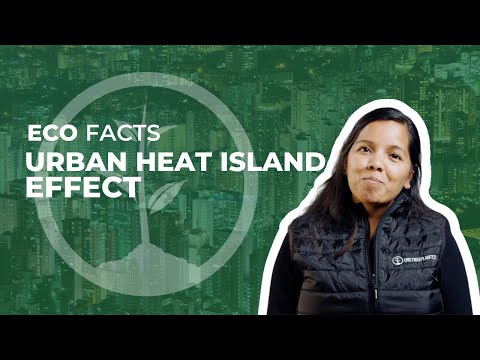 The Heat Island Effect Explained | Eco Facts | One Tree Planted