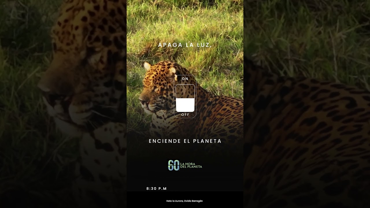 ¡Enciende tu acción por el planeta!