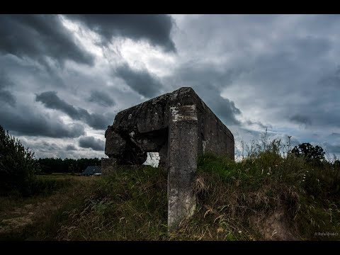 SGO "NAREW" Promiski