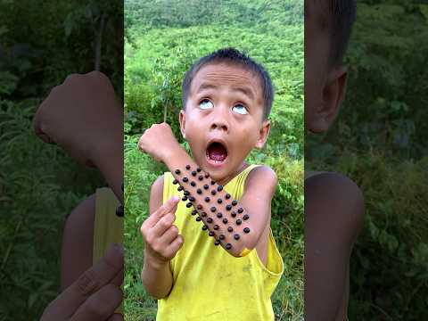 How to make a SIMPLE and useful #bushcraft #outdoors #campping #survival #forest #shorts