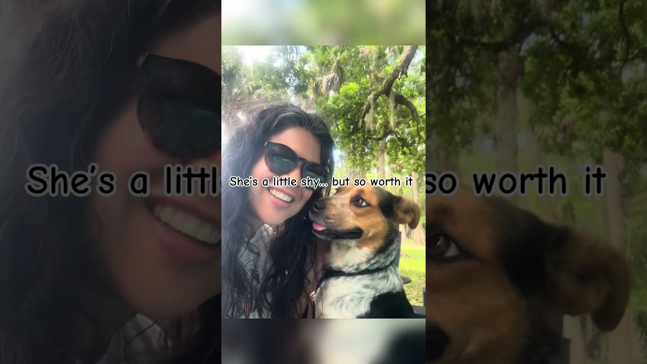 Enlarge JADE (599), a Adoptable mixed breed in Indiantown, FL video 2/6