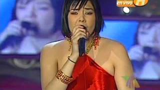 Si No Te Hubieras Ido Lyrics English Translation